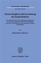 Felipe Belmar Todorovic - Normwidrigkeit und Zurechnung bei Sonderdelikten