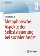 Felix Kühlian - Metaphorische Aspekte der Selbststeuerung bei sozialer Angst