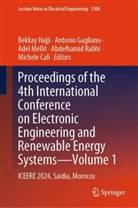 Michele Calì, Antonio Gagliano, Bekkay Hajji, Adel Mellit, Adel Mellit et al, Abdelhamid Rabhi - Proceedings of the 4th International Conference on Electronic Engineering and Renewable Energy Systems-Volume 1