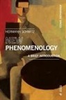 Hermann Schmitz - New Phenomenology