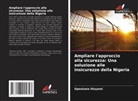 Opeoluwa Oluyemi - Ampliare l'approccio alla sicurezza: Una soluzione alle insicurezze della Nigeria