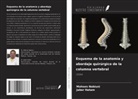 Jaber Hatam, Mohsen Nabiuni - Esquema de la anatomía y abordaje quirúrgico de la columna vertebral