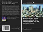 Maria Galadima - Evaluación del efecto medioambiental de la conversión del uso del suelo en Minna