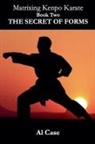 Al Case - Matrixing Kenpo Karate