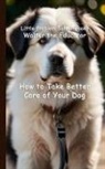 Walter the Educator - How to Take Better Care of Your Dog