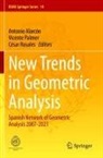 Antonio Alarcón, Vicente Palmer, César Rosales - New Trends in Geometric Analysis