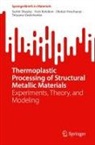 Yurii Belokon, Oleksii Hrechanyi, Serhii Sheyko, Tetyana Vasilchenko - Thermoplastic Processing of Structural Metallic Materials