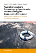 Theresa Dzeba, Jonathan Gabriel Maier, Pat Markey, Patrick S. Markey, Sarah Quaatz, Michael Zaudig - Psychotherapeutische Erstversorgung: Sprechstunde, Akutbehandlung und Gruppengrundversorgung