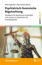 Felix Segmiller, Maximilian Wertz - Psychiatrisch-forensische Begutachtung (griffbereit)