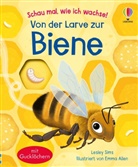 Lesley Sims - Schau mal, wie ich wachse! Von der Larve zur Biene
