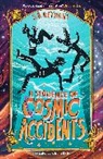 S.a Reyhani, Sandra Saleh-Reyhani - A Sequence of Cosmic Accidents