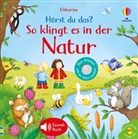 Sam Taplin - Hörst du das? So klingt es in der Natur