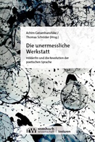 Achim Geisenhanslüke, Schröder, Thomas Schröder - Die unermessliche Werkstatt