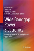 Daniel W. Cunningham, Thomas M. Jahns, Isik Kizilyalli, Thomas M Jahns et al, John Shen - Wide Bandgap Power Electronics