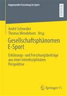 André Schneider, Wendeborn, Thomas Wendeborn - Gesellschaftsphänomen E-Sport