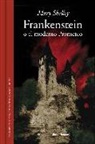 Mary Shelley, Mary Wollstonecraft Shelley - Frankenstein o El moderno Prometeo