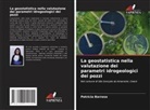 Patrícia Barroso - La geostatistica nella valutazione dei parametri idrogeologici dei pozzi