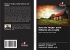 Alfredo E. R. Matta, Francisca  P. Santos da S., Francisca P. Santos da S., Erisvaldo Santos Souza - Bata do Feijão: dalla fattoria alla scuola