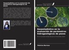Patrícia Barroso - Geoestadística en la evaluación de parámetros hidrogeológicos de pozos