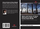 Emerso Cristani da Cunha - Gains and losses of those affected by dams: Salto Caxias Dam-PR-BR