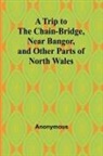 Anonymous - A Trip to the Chain-Bridge, Near Bangor, and Other Parts of North Wales