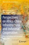 Monyae, David Monyae, Bhaso Ndzendze - Perspectives on Africa-China Infrastructural and Industrial Cooperation