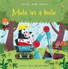 Lesley Sims, Sims Lesley, David Semple, Semple David - Mole in a Hole