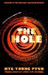 Hye-Young Pyun - The Hole