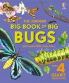 Emily Bone, Bone Emily, Fiorin Fabiano - Big Book of Big Bugs