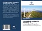 Olatunde Salami - Energiegerechtigkeit im Übergang zu erneuerbaren Energien