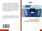 Abdelhafid Mimouni - La bioinorganique décrypte l'état Vasculaire