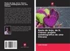 Lana Araujo - Rosto de Anjo, de D. Chávez: projeto autobiográfico de uma Chicana
