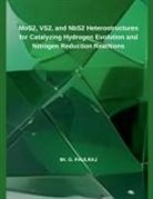 G. Paulraj - MoS2, VS2, and NbS2 Heterostructures for Catalyzing Hydrogen Evolution and Nitrogen Reduction Reactions