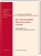 Antonia Pohl, Michael P. Streck - Der altorientalische Mensch in seiner Umwelt