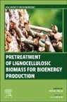 Ming-Fei Li - Pretreatment of Lignocellulosic Biomass for Bioenergy Production