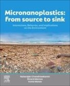 Natarajan Chandrasekaran, Sonia Manzo, Ricardo Marcos - Micronanoplastics: From Source to Sink