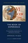 Emmanuel Falque - The Book of Experience