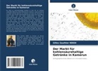 Gilles Gauthier NDEDI - Der Markt für kohlensäurehaltige Getränke in Kamerun