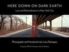 Larry Racioppo - Here Down on Dark Earth