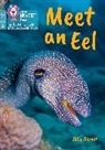 Ibby Alcraft, Collins Big Cat, Ángeles Peinador - Meet an Eel
