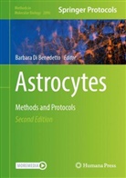 Barbara Di Benedetto - Astrocytes