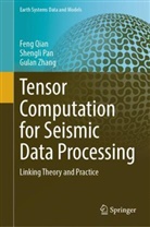 Shengli Pan, Feng Qian, Gulan Zhang - Tensor Computation for Seismic Data Processing
