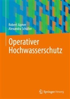 Robert Jüpner, Alexandra Schüller - Operativer Hochwasserschutz