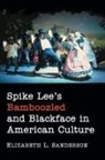 Elizabeth L. Sanderson - Spike Lee's Bamboozled and Blackface in American Culture