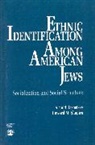 Arnold Dashefsky, Dashefsky Arnold, Howard M. Shapiro, Shapiro Howard M. - Ethnic Identification Among American Jews