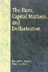 Edward B. Flowers, Flowers Edward B., Francis A. Lees, Lees Francis A. - The Euro, Capital Markets, and Dollarization