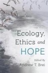 Andrew T. Brei, Brei Andrew T. - Ecology, Ethics and Hope