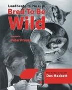 Des Hackett, Peter Preuss - Leadbetter's Possum Bred to Be Wild - From the Diary of Naturalist Des Hackett
