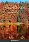 Nikolai Rozhonova - Kaleidoscope of Colour