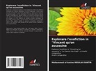 Mohammed El Amine Moulai Khatir - Esplorare l'exofiction in "Vincent qu'on assassine
